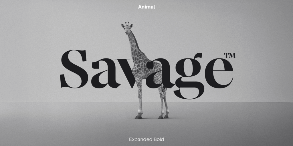 Animal mf 05
